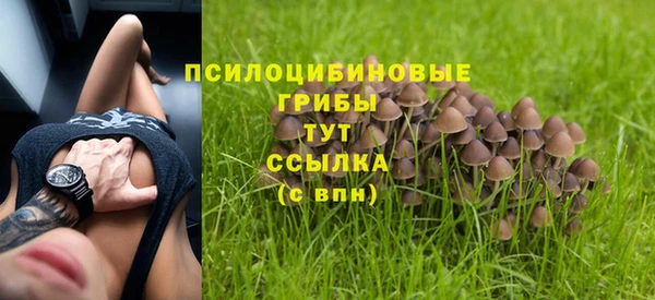 синтетический гашиш Медвежьегорск