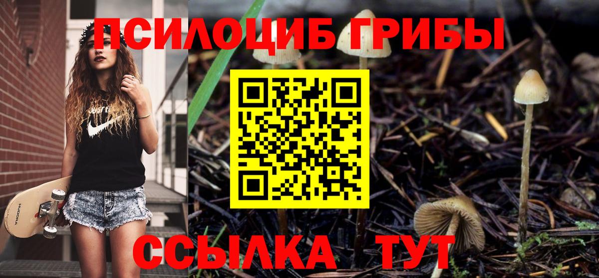 Псилоцибиновые грибы Psilocybine cubensis  Вход с VPN  где купить   Пенза 