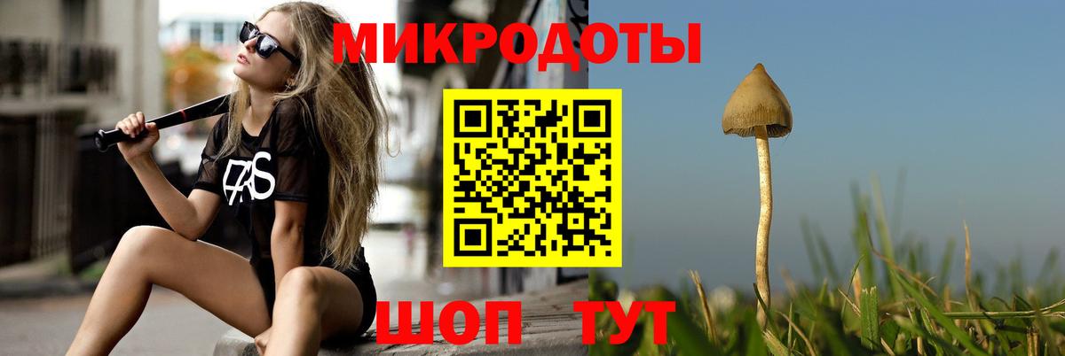 Псилоцибиновые грибы Magic Shrooms  Пенза 